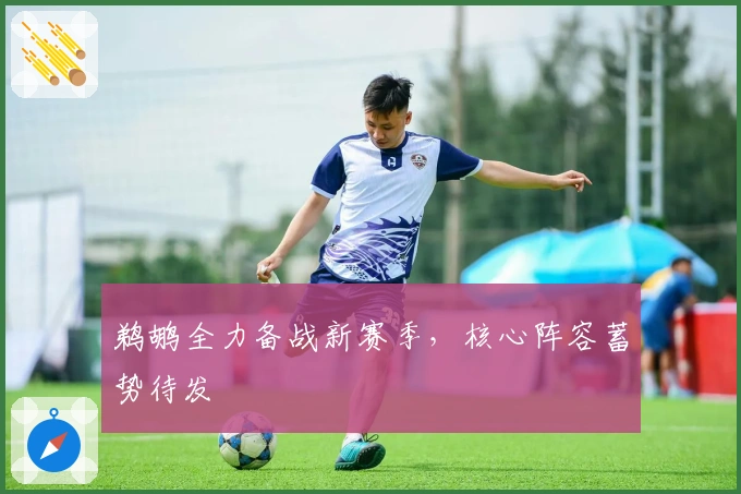 鹈鹕全力备战新赛季，核心阵容蓄势待发