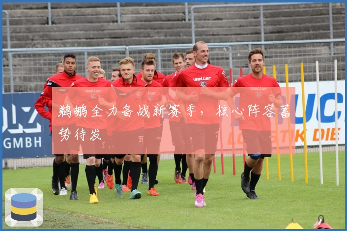 鹈鹕全力备战新赛季，核心阵容蓄势待发